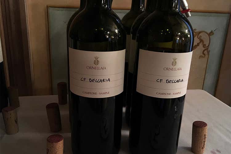 Ornellaia espressione del territorio I segreti delle sue basi e dei vigneti