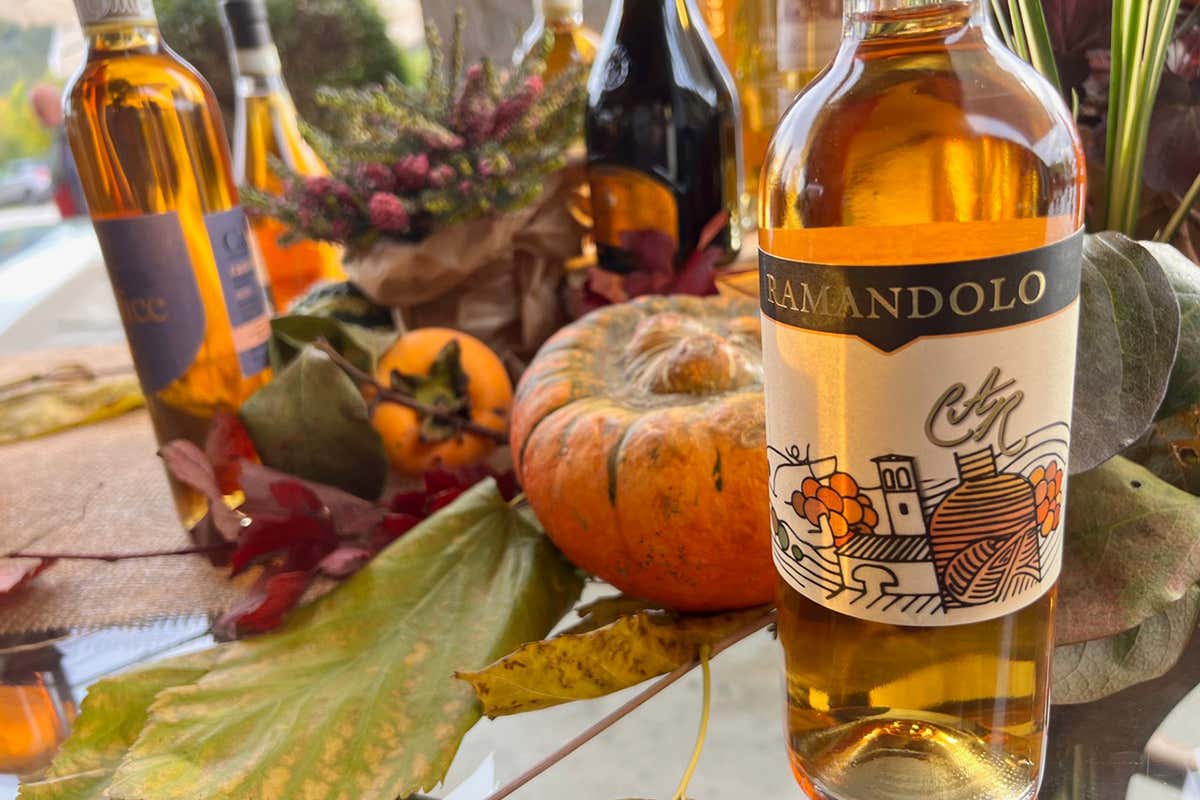 Sette tappe del gusto per scoprire l&rsquo;Oro di Ramandolo, eccellenza friulana