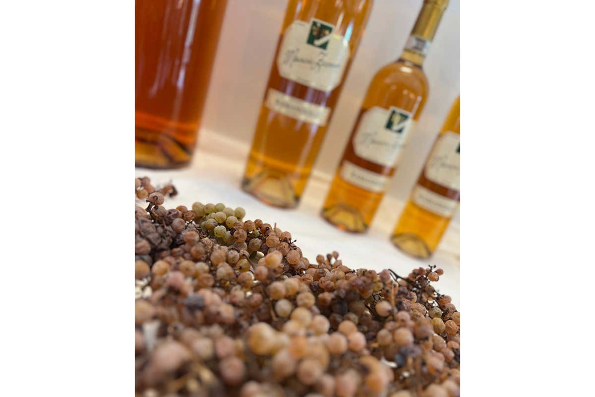 Sette tappe del gusto per scoprire l&rsquo;Oro di Ramandolo, eccellenza friulana