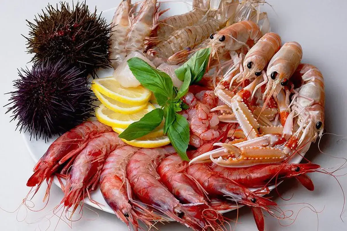 Catena del freddo pi&ugrave; sicura che mai nel nuovo headquarter di Orobica Pesca
