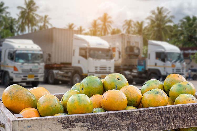 Per il 2021 Orsero punta a un utile netto sui 15 milioni di euro - Orsero guarda gi&agrave; al 2021 Import e distribuzione in aumento