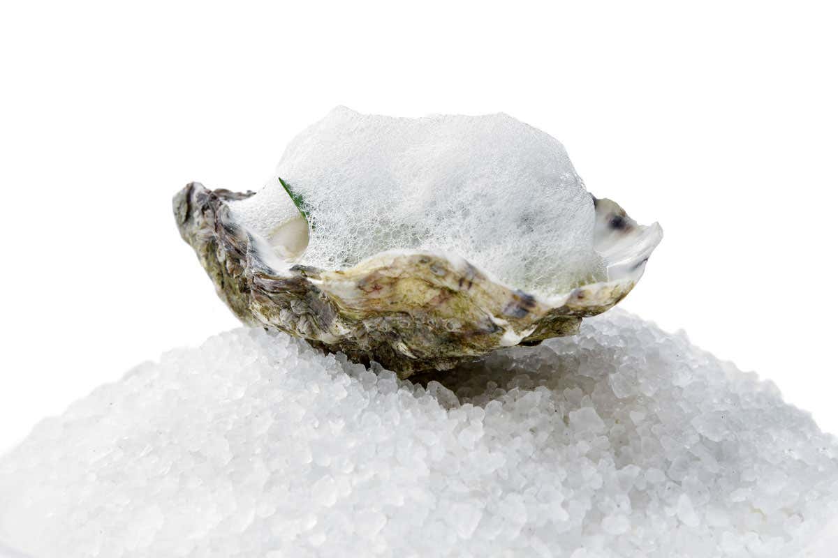 Non solo alta cucina, al Ristorante Romano il sommelier anticipa i tuoi desideri