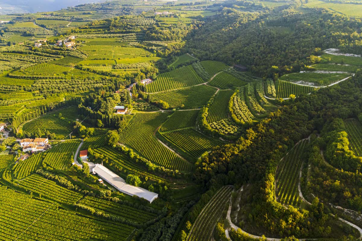 In Valpolicella i vignaioli di Mezzane presentano la prima Carta dei Suoli 3D