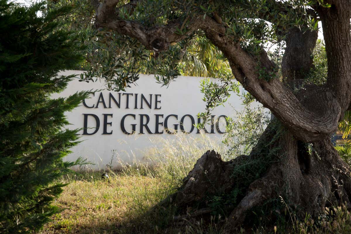 Il borgo antico che torna a vivere grazie ai vini della famiglia De Gregorio Il borgo antico che torna a vivere grazie ai vini della famiglia De Gregorio