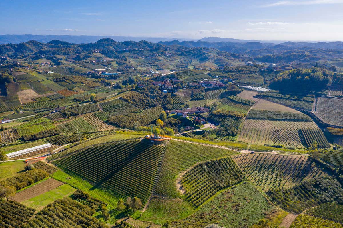 Il Roero in Tour fa tappa a Bologna tra vini, ricerca e cucina d’autore Il Roero in Tour fa tappa a Bologna tra vini, ricerca e cucina d’autore