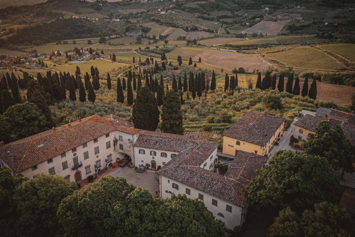 Capezzana: la tenuta che guida il Carmignano tra vigne storiche, olivi e ricerca