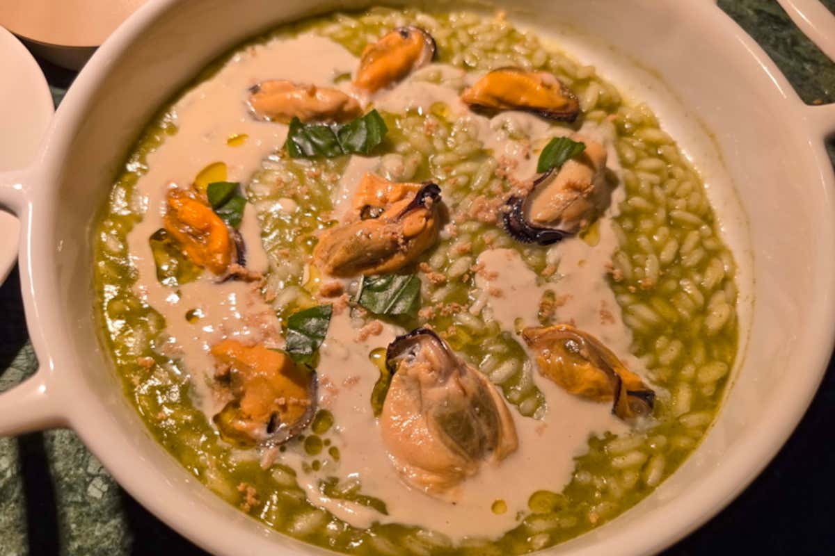 Uovo di Seppia a Palermo, il bistrot firmato Pino Cuttaia con la cucina di Calvaruso