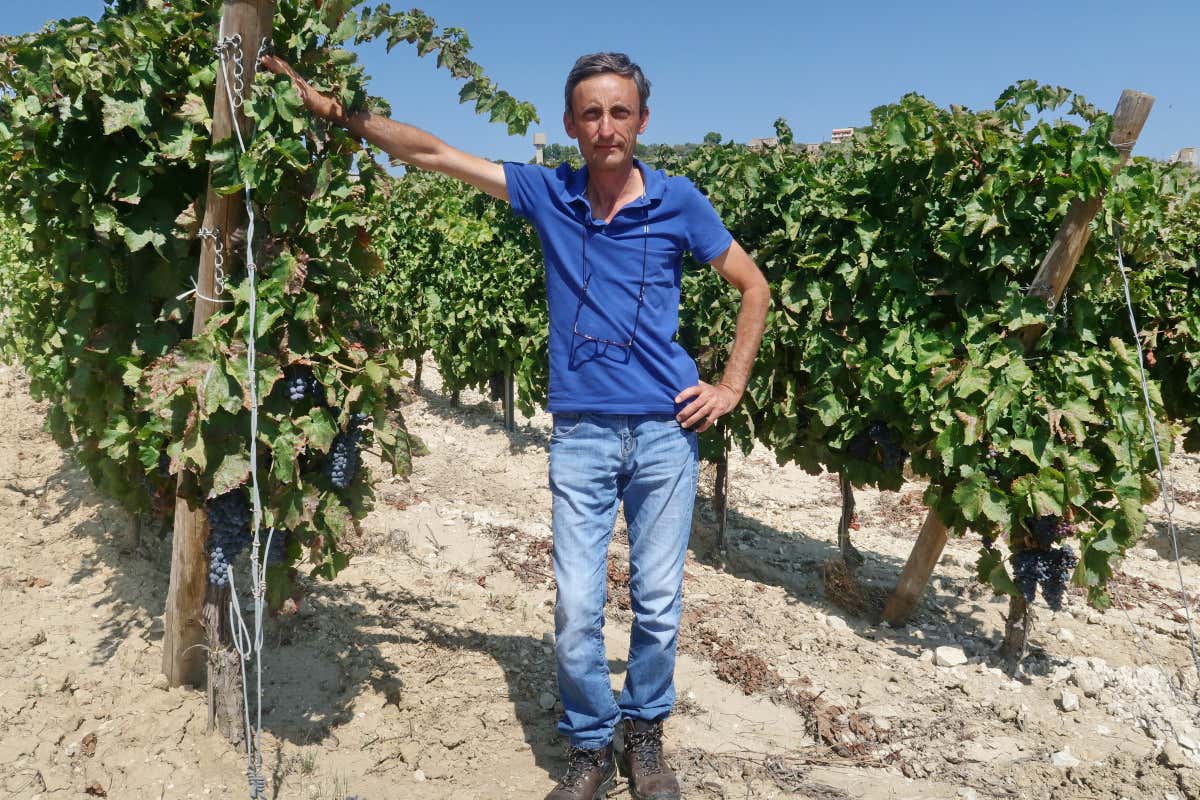 [Rosé] di Morgante: un'eccellente espressione del Nero d’Avola