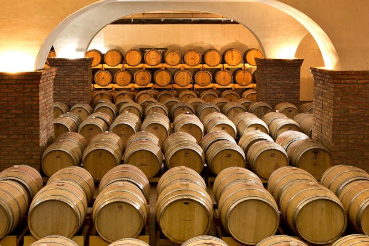 [Maria Costanza Riserva] G. Milazzo: il Nero d'Avola dalla persistenza 