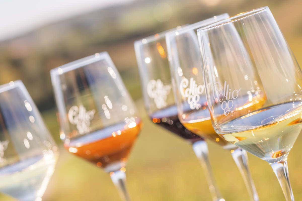 Scoprire Gorizia e le sue tradizioni culinarie: un viaggio fra culture e sapori