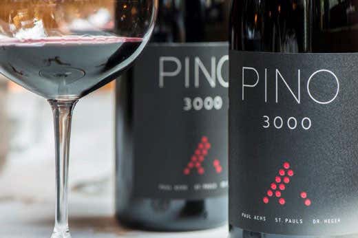 Pino 3000 (foto: Stefano Scat&agrave;)