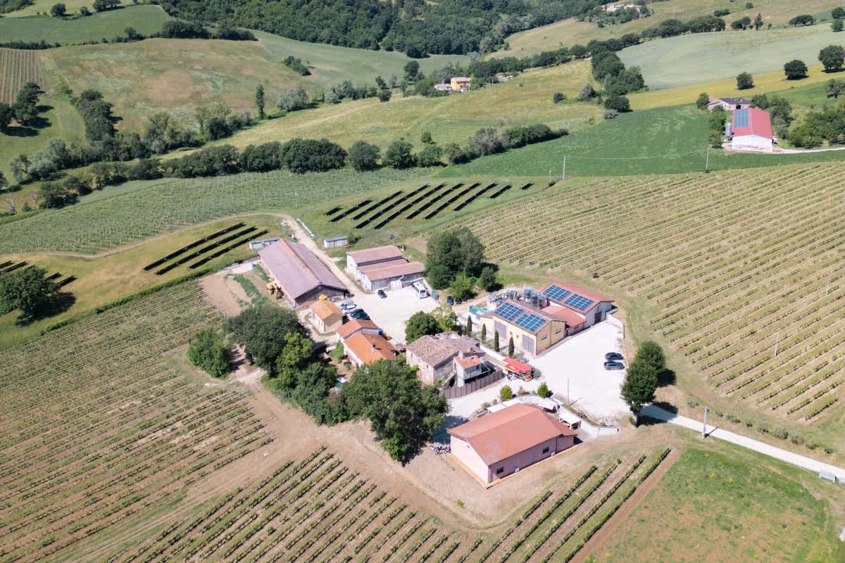 Borgo Paglianetto: 15 anni di storia e territorio nel Verdicchio di Matelica Borgo Paglianetto: 15 anni di storia e territorio nel Verdicchio di Matelica