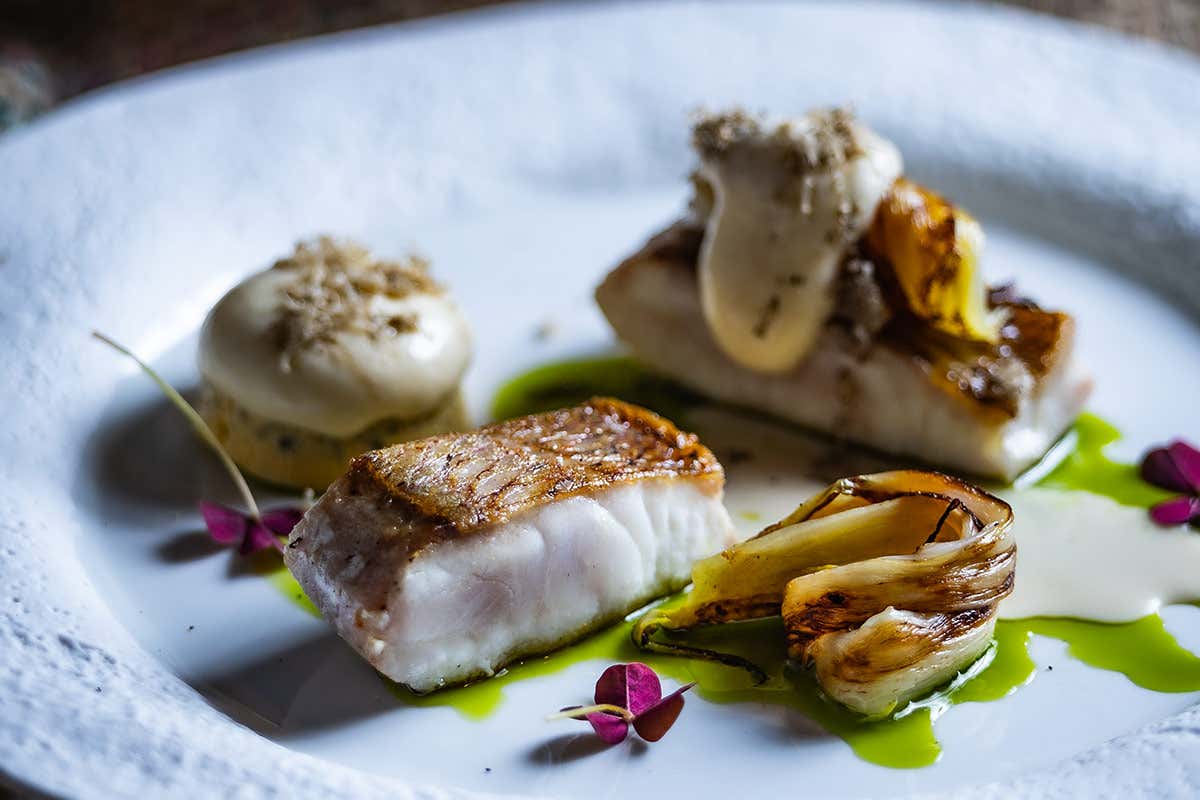 Pagro, indivia brasata, spugnole e zabaione