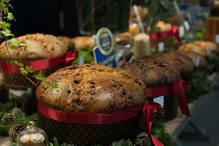 I panettoni di Giovanni Cova & C.entrano nell’Accademia di Brera I panettoni di Giovanni Cova & C.entrano nell’Accademia di Brera