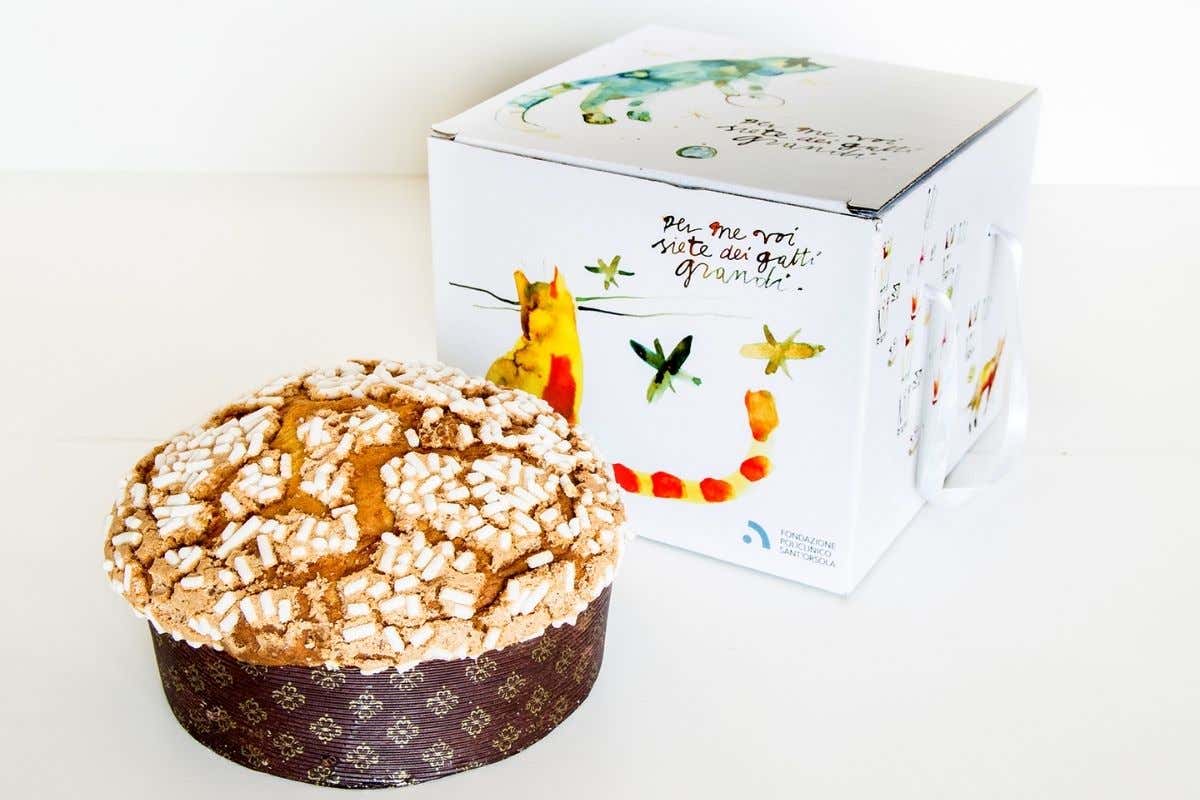 I panettoni di Fondazione Sant'Orsola