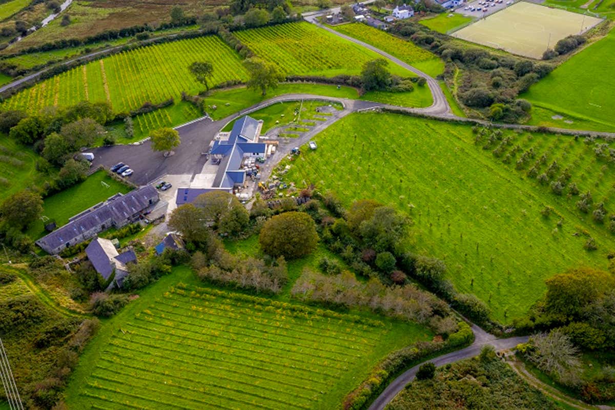 Pant Du Vineyard and Orchard