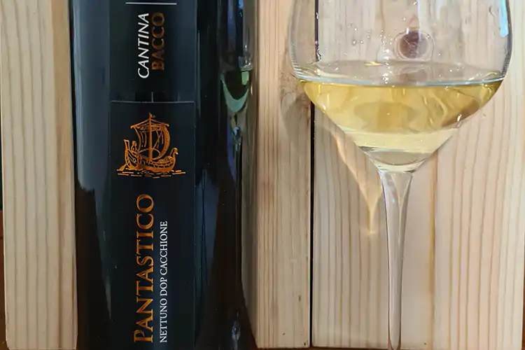 &pound;$Ripartiamo dal vino$&pound; Pantastico Cantina Bacco
