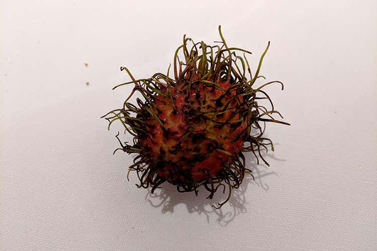 L'occhio di drago (Paolo Griffa gioca con l'Oriente Gong per una sera al Petit Royal)