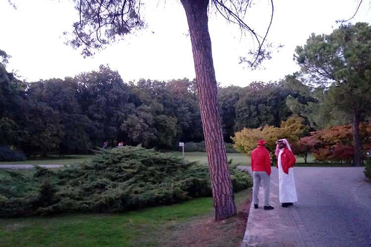 (Parco Giardino Sigurtà 400mila ospiti entro la fine della stagione) (Parco Giardino Sigurtà 400mila ospiti entro la fine della stagione)