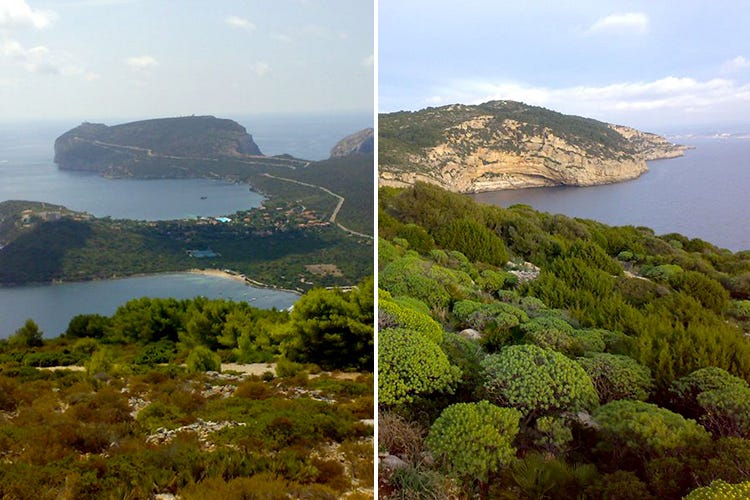 Il Parco naturale di Porto Conte si estende per 5 ettari, passando dagli ambienti marini a quelli della macchia mediterranea (Parco naturale di Porto Conte Turismo esperienziale ad Alghero)