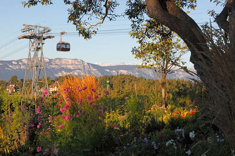 (Parkhotel Holzner a Bolzano Turismo sostenibile in Trentino-Alto Adige)