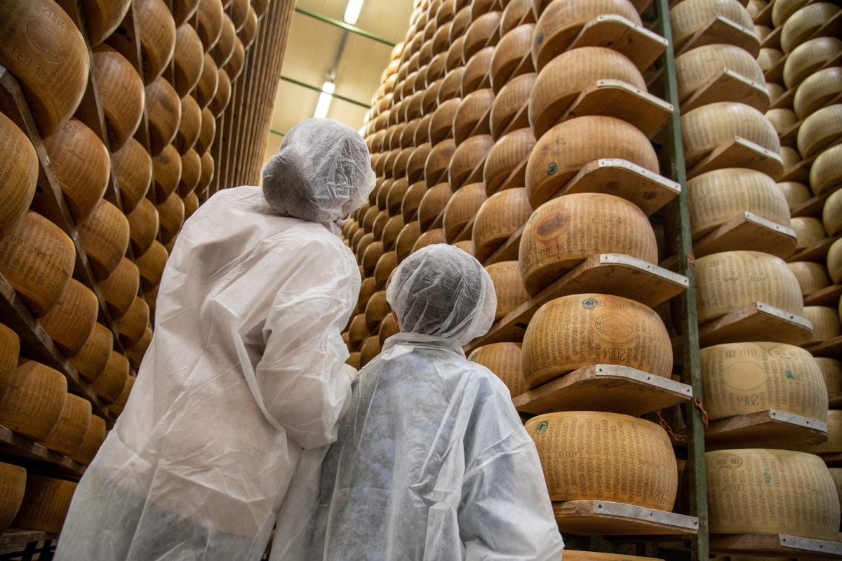 Scopriamo un formaggio da leggenda: Parmigiano Reggiano si svela a Caseifici Aperti