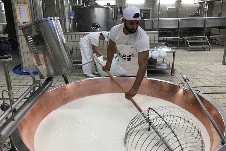 (Parmigiano Reggiano Entro il 2019 350mila forme in più)