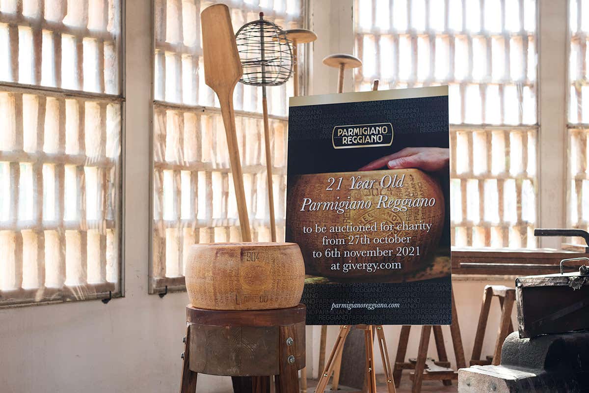 Forma di Parmigiano Reggiano di 21 anni (foto: Linda Vukaj - Aicod) La Nazionale del Parmigiano Reggiano in campo per la solidariet&agrave;