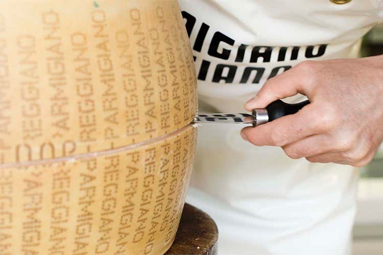 Parmigiano Reggiano, acquista e vinci 85 caseifici aderiscono all'iniziativa Parmigiano Reggiano, acquista e vinci 85 caseifici aderiscono all'iniziativa