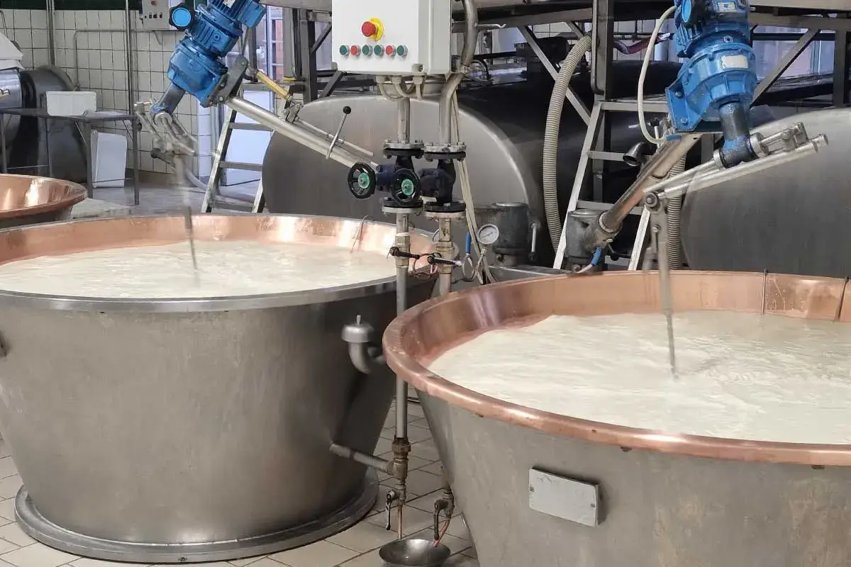 Dal lavoro e dalla passione nasce l&rsquo;eccellenza del Parmigiano Reggiano