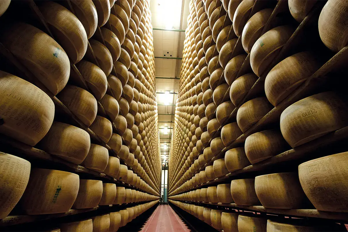 Parmigiano Reggiano in campo per diffondere la conoscenza della qualit&agrave; a tavola