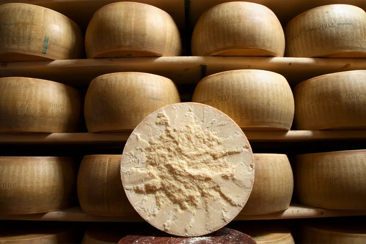 Parmigiano Reggiano&nbsp; Parmigiano Reggiano, crescono le vendite e le esportazioni