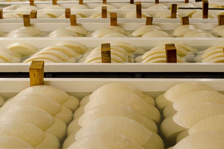 Parmigiano Reggiano, un prodotto del territorio