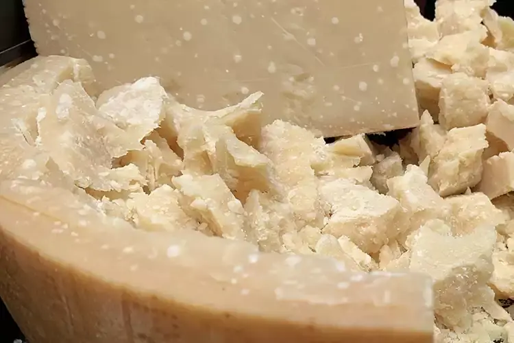 Intorno al Parmigiano Reggiano gravitano 50mila persone, 2600 allevamenti, 300 caseifici Il Parmigiano Reggiano diventa un film