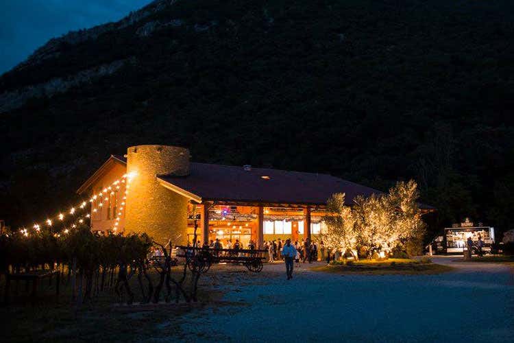(Parovel: 120 anni di vino e olio Una storia tra Trieste, Slovenia e Istria) (Parovel: 120 anni di vino e olio Una storia tra Trieste, Slovenia e Istria)