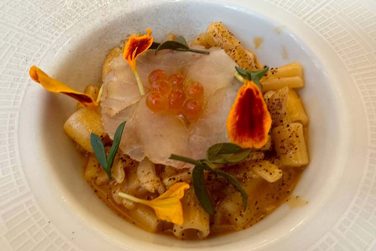 Enoteca La Torre: un gioiello culinario a Roma. Ecco come un ristorante bistellato ha successo Enoteca La Torre: un gioiello culinario a Roma. Ecco come un ristorante bistellato ha successo