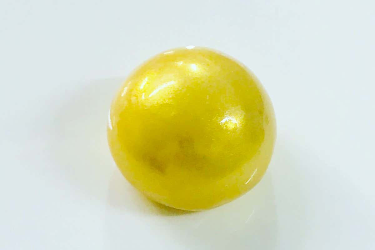 Pastiera Liquida In cucina alla scoperta del menu di Pasqua Pastiera Liquida In cucina alla scoperta del menu di Pasqua