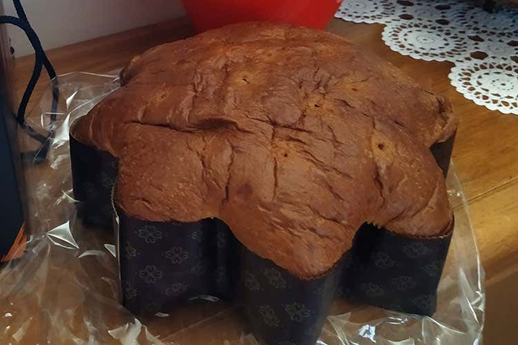 Il panettone del Pastificio Zucchi - Panificio Zucchi, a Brescia dal 1955 Per diventare panettieri, si studia