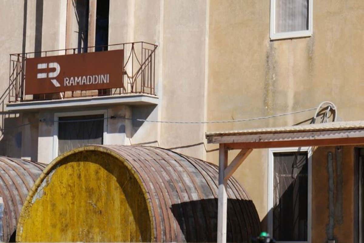 Cantina Patrono e Nassa di Ramaddini Nero d&rsquo;Avola e Grillo esaltanti