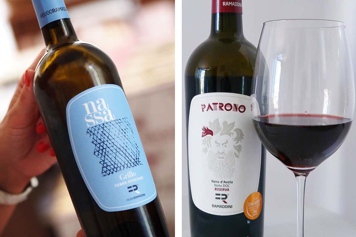 Patrono e Nassa di Ramaddini Nero d&rsquo;Avola e Grillo esaltanti