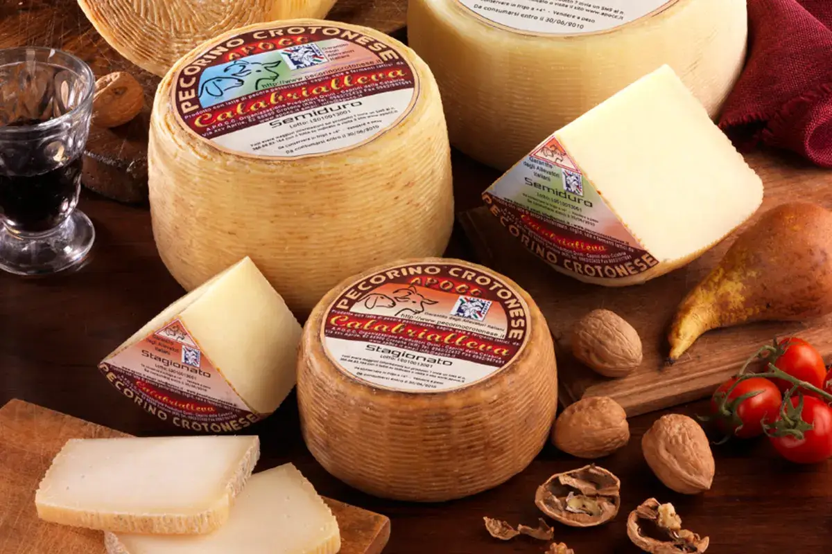 Pecorino Crotonese Dop Dalla &lsquo;nduja alla liquirizia, dal formaggio al pesce: Calabria, terra di eccellenze