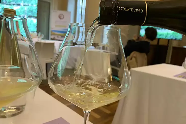 La produzione si attesta sui 2 milioni di bottiglie Abruzzo Pecorino, bianco del futuro