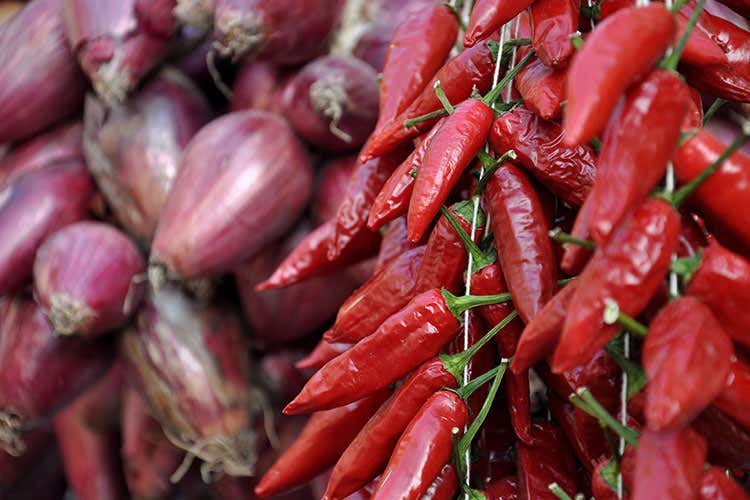 Cina, Turchia ed Egitto invadono il mercato con 2mila tonnellate di prodotto l'anno - Peperoncino italiano a rischio: schiacciato dall'import selvaggio