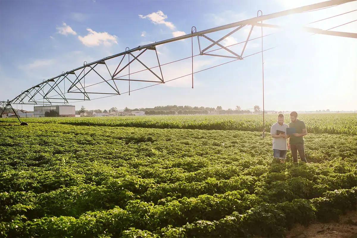 PepsiCo sostiene la creazione di standard e misurazioni per l'agricoltura rigenerativa Agricoltura Positiva 2030 Il progetto virtuoso di PepsiCo