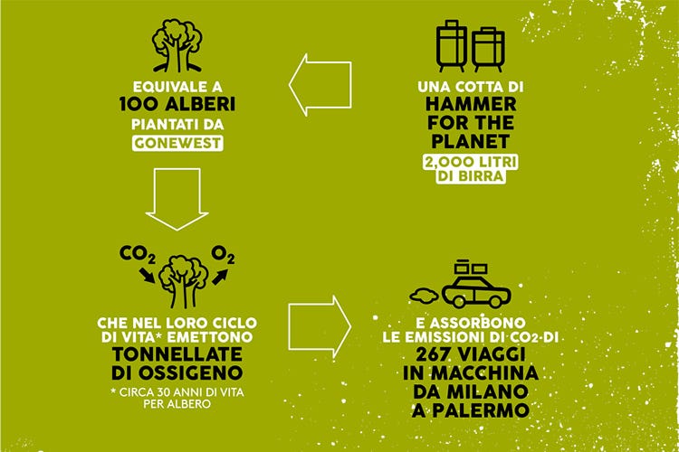 Il progetto in quattro punti (Per ogni cotta, 100 alberi Il progetto green di Hammer)