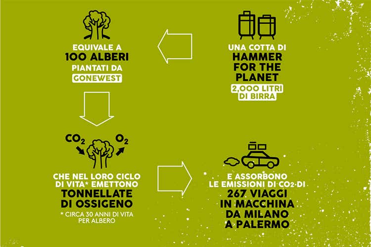 Il progetto in quattro punti (Per ogni cotta, 100 alberi Il progetto green di Hammer)