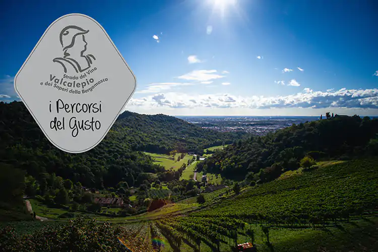 &ldquo;I Percorsi del Gusto&rdquo;, a Bergamo il turismo incontra la buona tavola