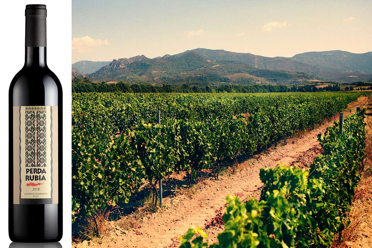 Pellegrini, tante novit&agrave; in catalogo per scommettere sulla ripartenza