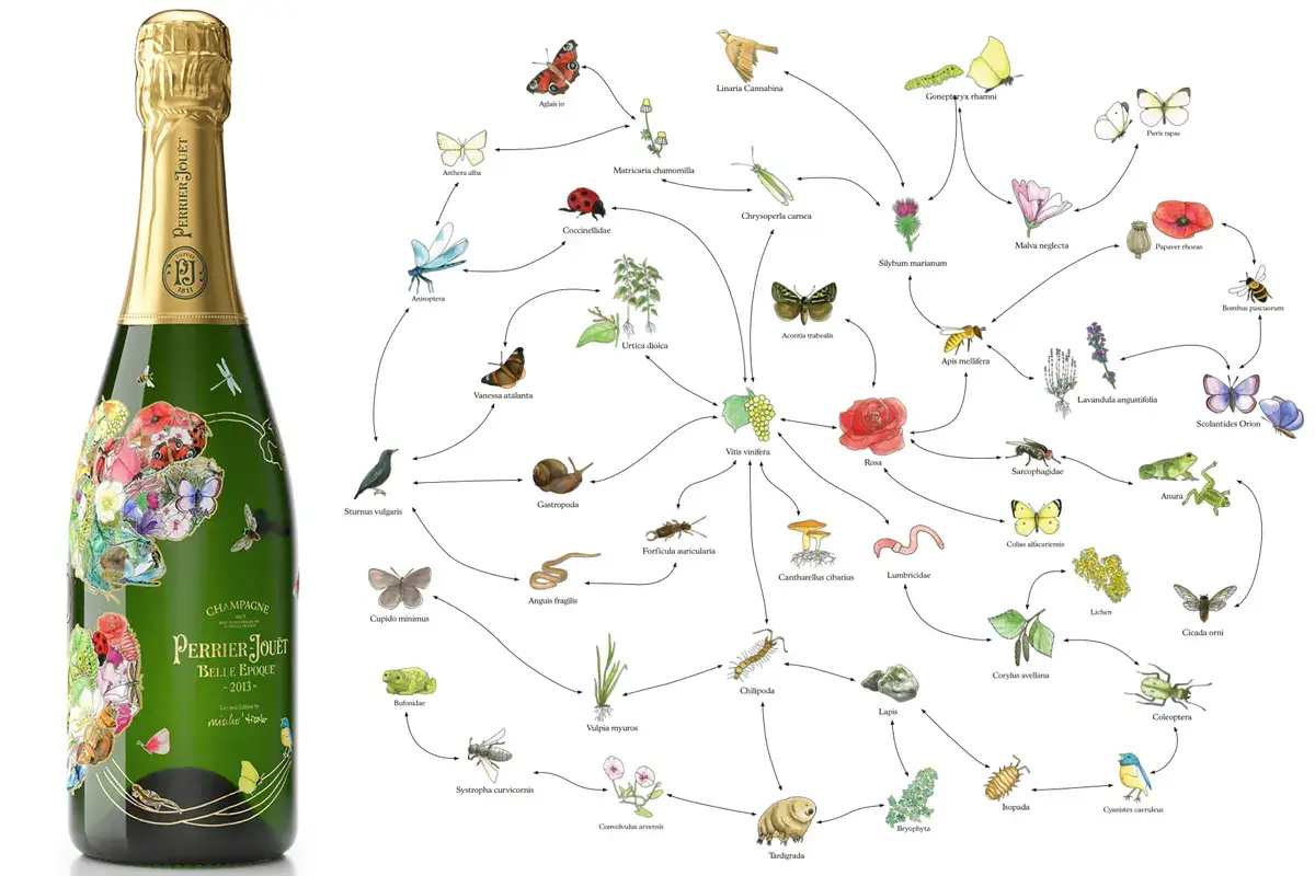 Perrier-Jou&euml;t Belle Epoque 2013 in edizione limitata L&rsquo;Anemone della Biodiversit&agrave;, edizione limitata dello Champagne Perrier-Jou&euml;t