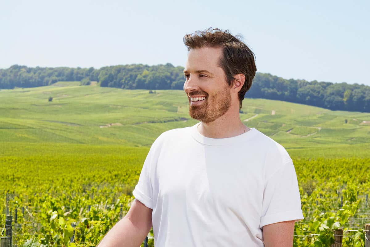 Perrier-Jouët presenta Plant Pulses: l’installazione che fa “ascoltare” le piante